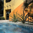 Hotel Tabasco - Testimonial 6