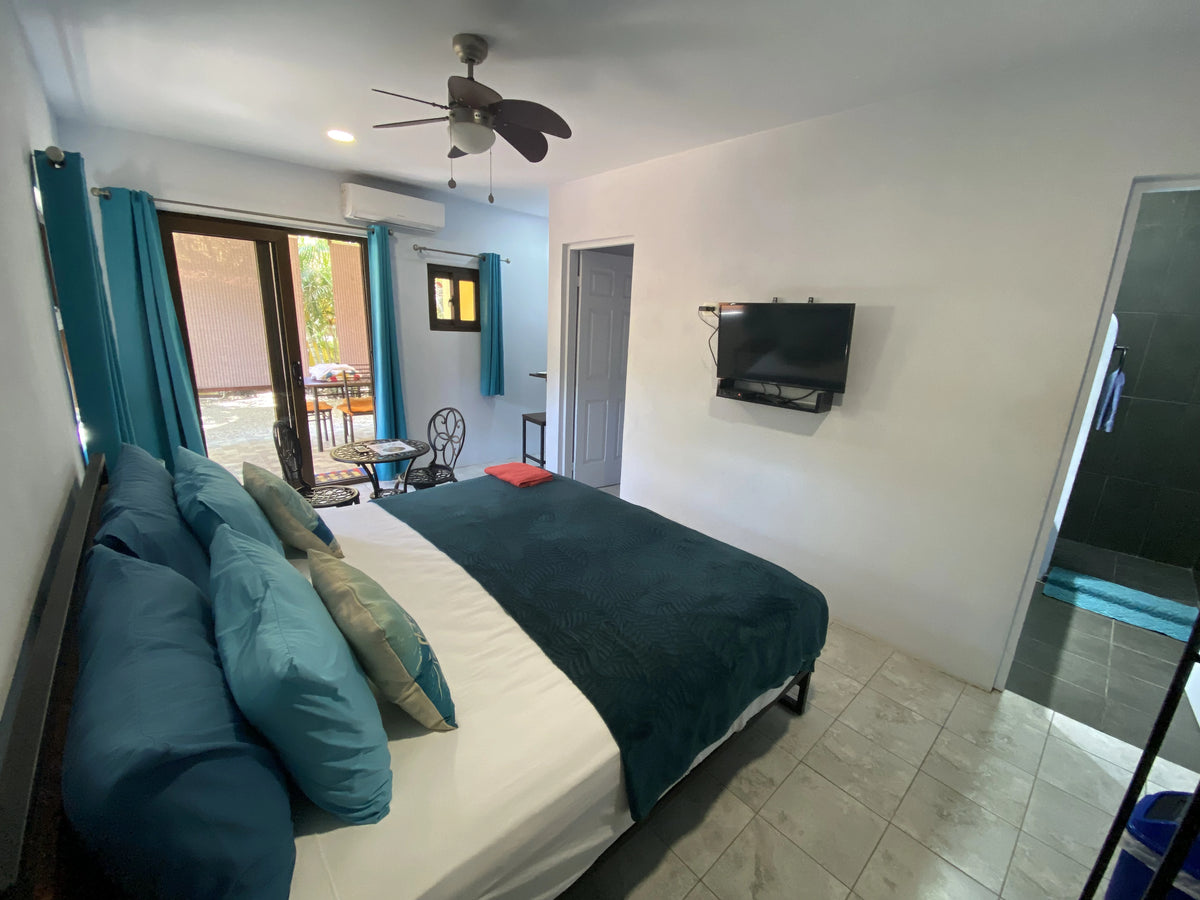 Rocoto room at Hotel Tabasco - view 3